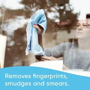 Windex Glass Cleaner Spray Bottle for Streak-Free Shine