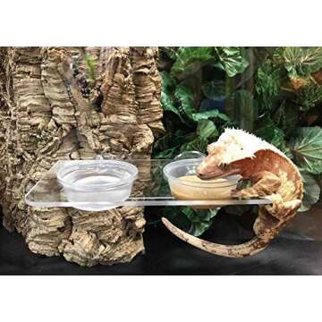 Pangea Acrylic Suction Cup Gecko Feeder Ledge (Large) for Lizards and Reptiles