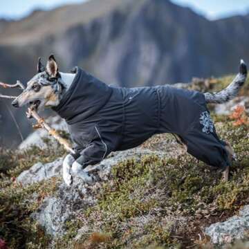 Hurtta Extreme Overall, Dog Snowsuit, BlackBerry, 22M