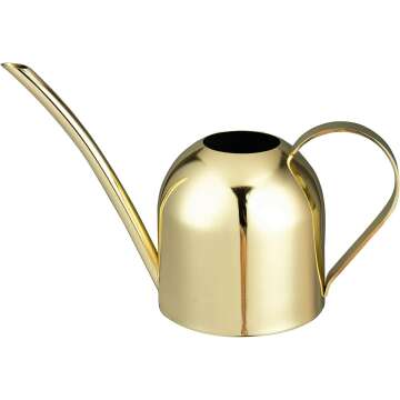 Gold Stainless Steel Watering Can for Indoor Plants