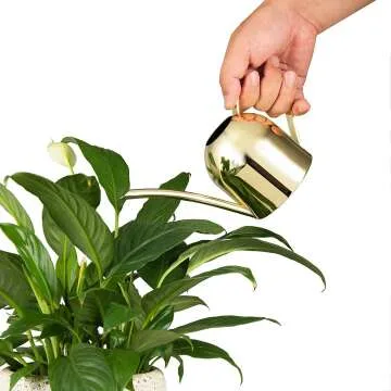 Gold Stainless Steel Watering Can for Indoor Plants