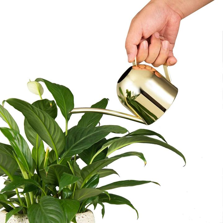 Gold Stainless Steel Watering Can for Indoor Plants