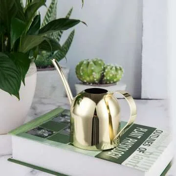 Gold Stainless Steel Watering Can for Indoor Plants