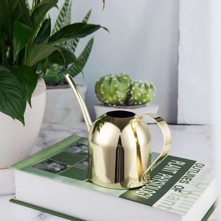 Gold Stainless Steel Watering Can for Indoor Plants