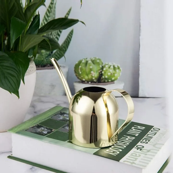 Gold Stainless Steel Watering Can for Indoor Plants
