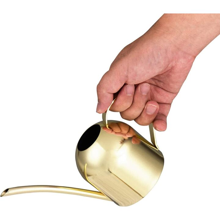 Gold Stainless Steel Watering Can for Indoor Plants