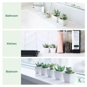 KORVEA Set of 5 Artificial Succulent Plants in Ceramic Pots - Assorted Fake Succulents - Mini Succulent Plants - Small Succulent Plants for Window Sills, Bathrooms, Office Spaces, and More