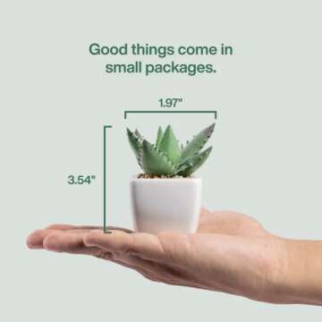 KORVEA Set of 5 Artificial Succulent Plants in Ceramic Pots - Assorted Fake Succulents - Mini Succulent Plants - Small Succulent Plants for Window Sills, Bathrooms, Office Spaces, and More