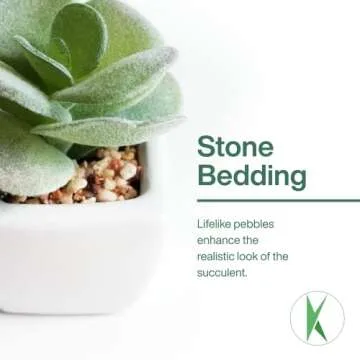 KORVEA Set of 5 Artificial Succulent Plants in Ceramic Pots - Assorted Fake Succulents - Mini Succulent Plants - Small Succulent Plants for Window Sills, Bathrooms, Office Spaces, and More