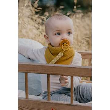 BIBS BPA-Free Natural Rubber Baby Pacifier | Made in Denmark (Dark Oak/Blush, 0-6 Months) 2-Pack