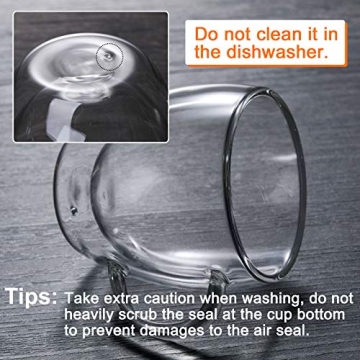 Vivimee Insulated Coffee Mugs 16oz Double Wall Glass Cups