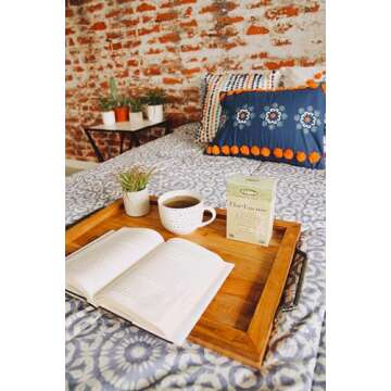 Gentle Detox Tea Blend - Flora FlorEssence 2.2 Oz