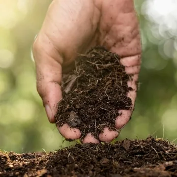 Jobe's Fast Acting Compost Starter for Organic Gardening