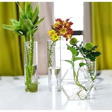 PACDONA Glass Wall Hanging Planters - Stylish Plant Holders