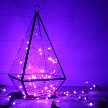 Twinkle Star 33FT Purple LED String Lights for Parties