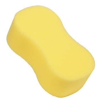 Carrand 40102 Giant Bone Sponge for Car Washes and More