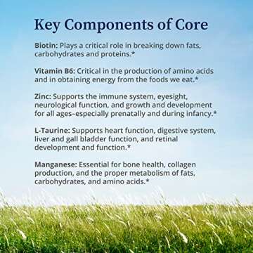 BioPure Core Mineral Supplement – Highly Bioavailable Minerals, Vitamins and Amino Acids to Support Nutritional Maintenance, Optimize Metabolism, and Promote Overall Well-Being – 240 Capsules