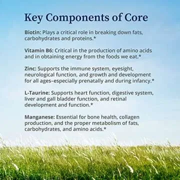 BioPure Core Mineral Supplement – Highly Bioavailable Minerals, Vitamins and Amino Acids to Support Nutritional Maintenance, Optimize Metabolism, and Promote Overall Well-Being – 240 Capsules