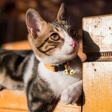 Jingle Bells for Craft, 300 Pieces Bulk DIY Christmas Bells for Decoration, Home Decoration (Silver/Gold, 0.5 Inch)