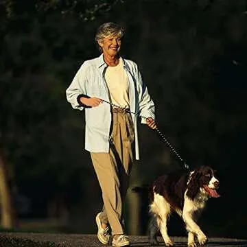 5 FT Strong Dog Leash with Comfortable Padded Handle & Highly Reflective Threads Puppy Leashes for Medium & Large Dogs (Black)