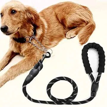 5 FT Strong Dog Leash with Comfortable Padded Handle & Highly Reflective Threads Puppy Leashes for Medium & Large Dogs (Black)