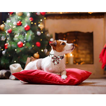 ARING PET Christmas Dog Collar with Sailor Bowtie in Red and Green Plaid