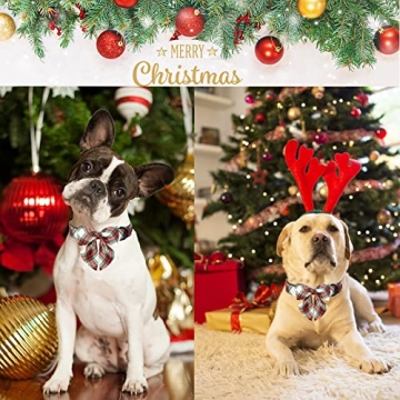 Christmas Dog Collar with Sailor Bowtie for All Breeds