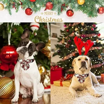 Christmas Dog Collar with Sailor Bowtie for All Breeds