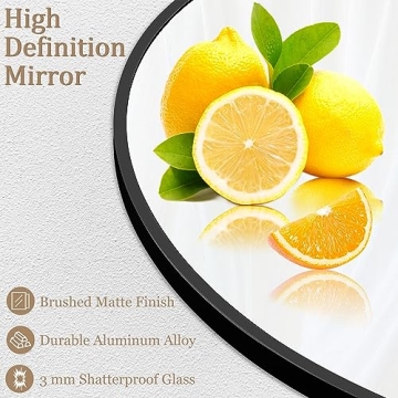 Elegant NISHCON Arched Full Length Mirror for Home