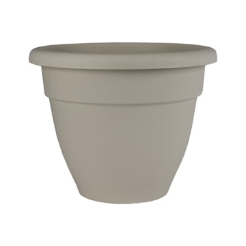 8 Inch Caribbean Planter for Lightweight Indoor Outdoor Use
