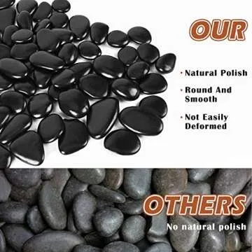 5.5LB Black River Rocks - Decorative Pebbles for Plants and Aquariums