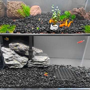 5.5LB Black River Rocks - Decorative Pebbles for Plants and Aquariums