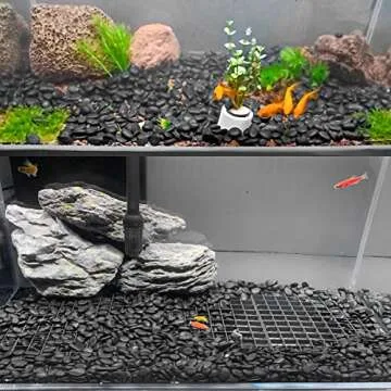 5.5LB Black River Rocks - Decorative Pebbles for Plants and Aquariums