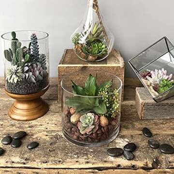 5.5LB Black River Rocks - Decorative Pebbles for Plants and Aquariums