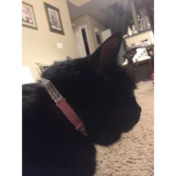CHUKCHI Soft Velvet Safe Cat Adjustable Collar Bling Diamante with Bells,11 inch for Small Dogs and Cats (Pink)
