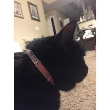 CHUKCHI Soft Velvet Safe Cat Adjustable Collar Bling Diamante with Bells,11 inch for Small Dogs and Cats (Pink)