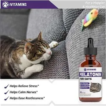 Melatonin for Cats | Sleep Aid & Stress Relief Solution