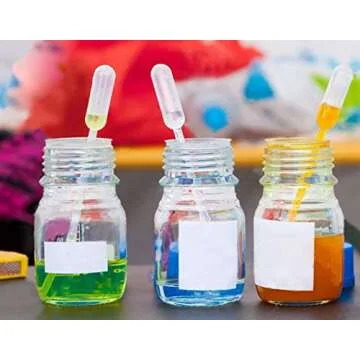 300 Pack of Durable 3ML Plastic Transfer Pipettes