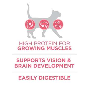Purina ONE High Protein, Natural Dry Kitten Food, +Plus Healthy Kitten Formula - 7 lb. Bag