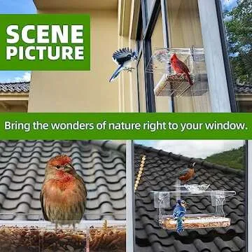 WENMIXER Window Bird Feeder for All Bird Lovers