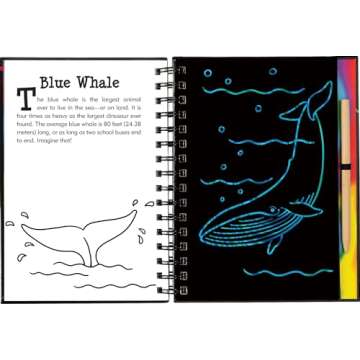 Scratch & Sketch Under the Sea (Trace Along)