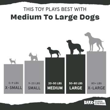 Barkbox Super Chewer Tough Dog Fetch Toy for Aggressive Chewers, Durable Rubber & Nylon for Small, Medium, & Large Dogs & Puppies, Throwbar