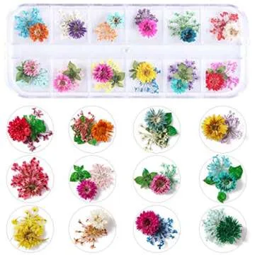 2 Boxes Dried Flowers for Nail Art, KISSBUTY 24 Colors Dry Flowers Mini Real Natural Flowers Nail Art Supplies 3D Applique Nail Decoration Sticker for Tips Manicure Decor (Gypsophila Flowers Leaves)