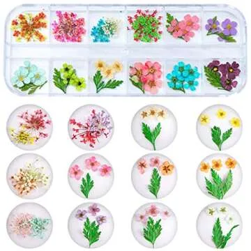 2 Boxes Dried Flowers for Nail Art, KISSBUTY 24 Colors Dry Flowers Mini Real Natural Flowers Nail Art Supplies 3D Applique Nail Decoration Sticker for Tips Manicure Decor (Gypsophila Flowers Leaves)