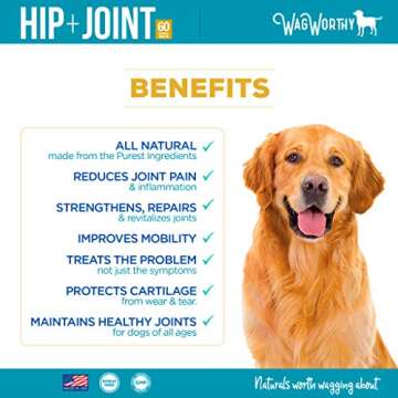 WagWorthy Naturals Advanced Hip and Joint Supplement for Dogs with Chondroitin, MSM and Glucosamine for Dogs, Improves Mobility, Arthritis Pain Relief for Dogs, 60 Chewable Tablets, Made in USA