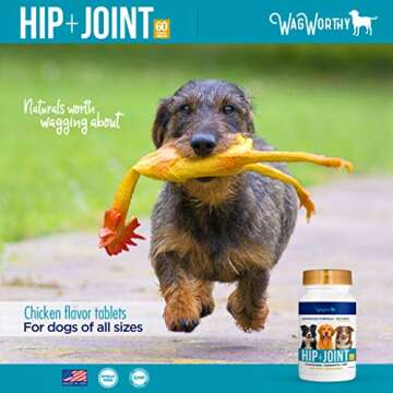 WagWorthy Naturals Advanced Hip and Joint Supplement for Dogs with Chondroitin, MSM and Glucosamine for Dogs, Improves Mobility, Arthritis Pain Relief for Dogs, 60 Chewable Tablets, Made in USA