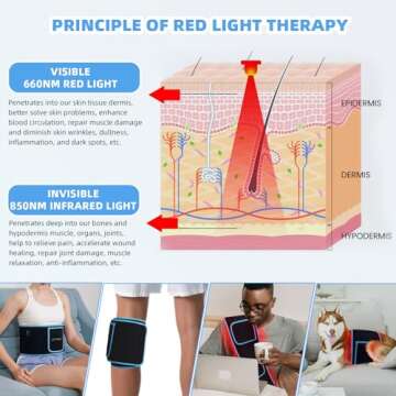 Red Light Therapy Belt for Body Pain Relief & Muscle Repair