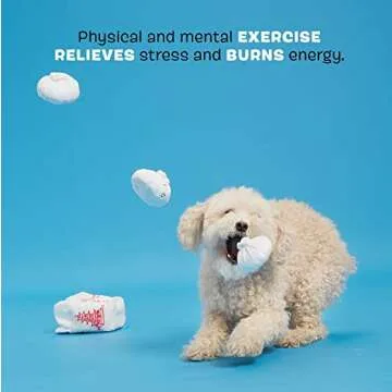 dp Multi-Purpose Backpack for Travel & Work