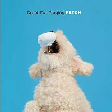 dp Multi-Purpose Backpack for Travel & Work