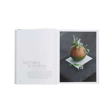 Unique Artistic Dinnerware for Every Dining Experience